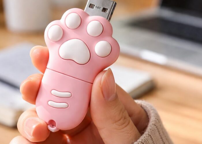 Ne sous-estimez pas la capacité réelle des clés USB fantaisie